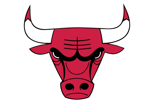 bullss logo