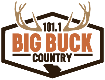 BigBuck