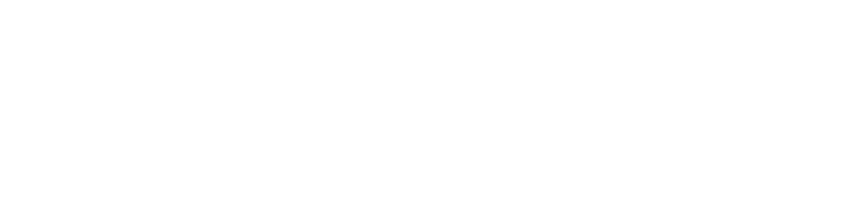 Turn Passion into Performance